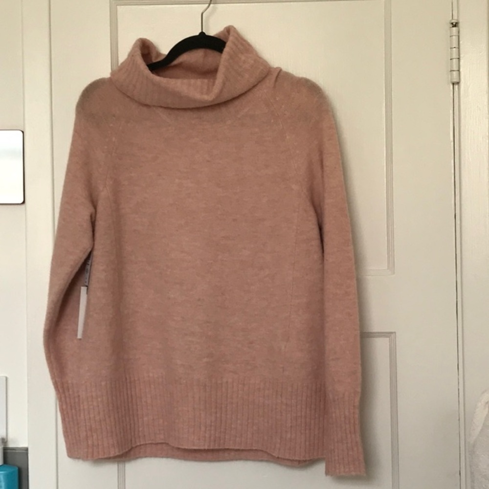 Babaton Plutarch turtleneck sweater